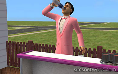 The Sims 2